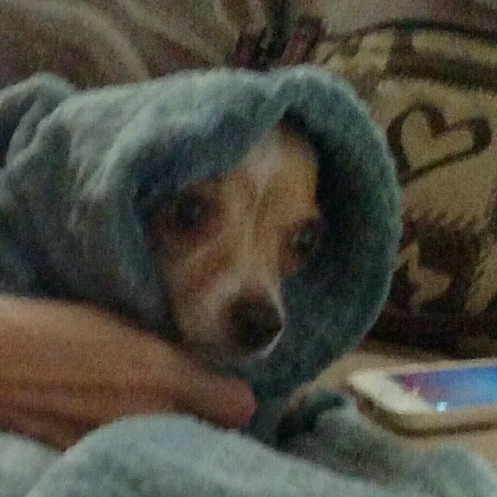 Meet your Posher, Michelle